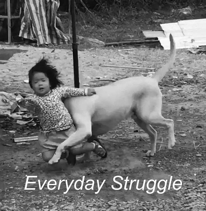 struggle情头一对struggle情头一对