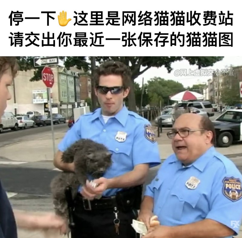 请交出你们的 #猫猫 ！