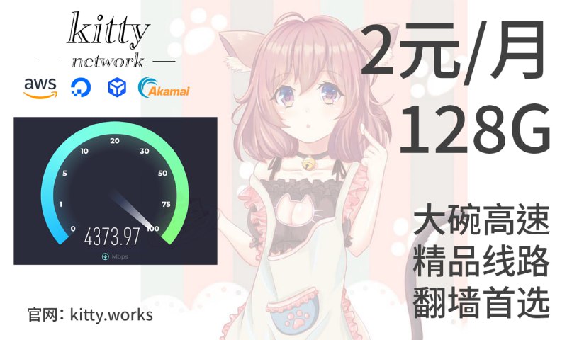 Kitty Network⭐⭐官网