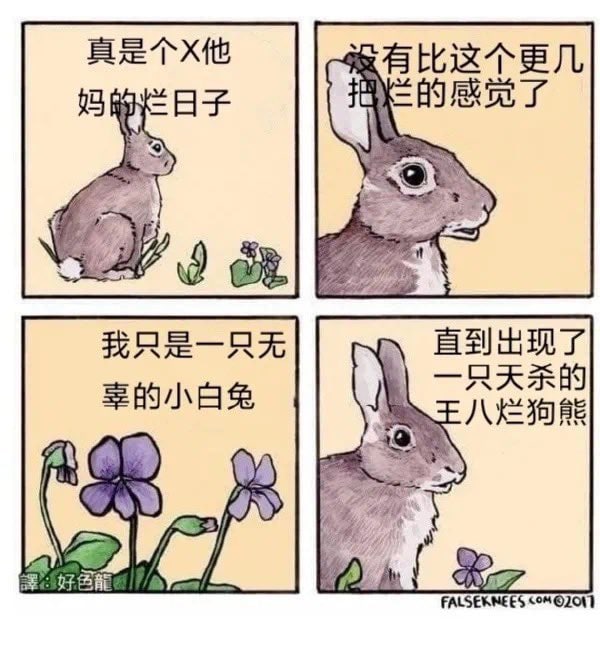 《小白兔》