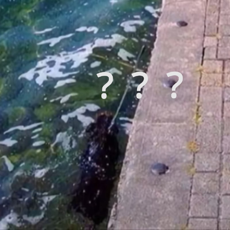 🤔🤔
