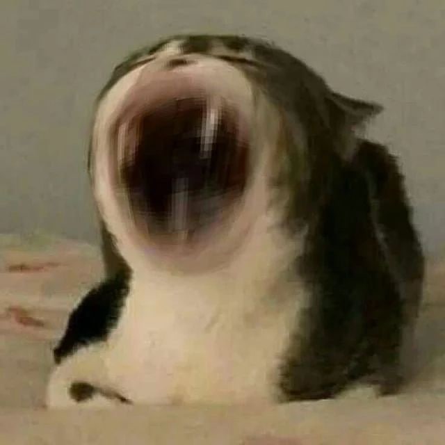 #猫猫 哈哈镜#猫猫 哈哈镜