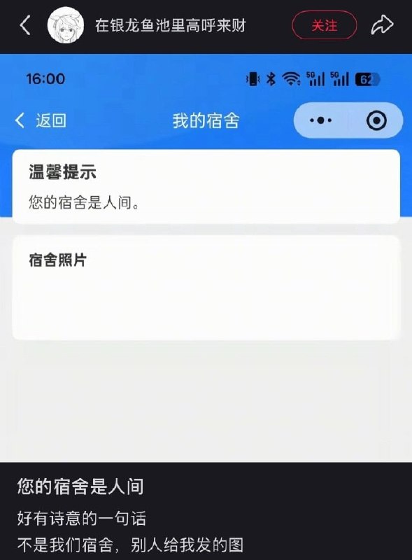 太好了，分到了人间😑
