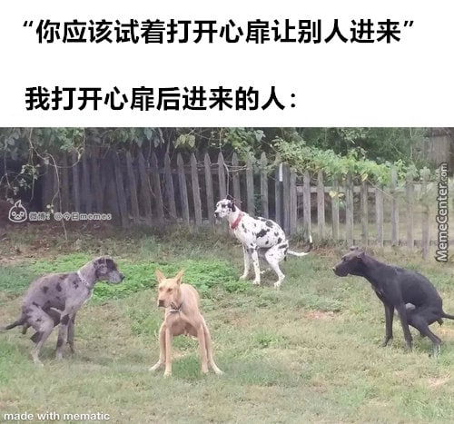我他妈直接在你心扉拉屎
