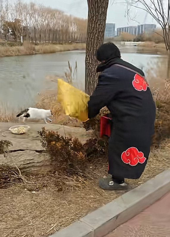 晓组织抓捕尾兽的珍贵图像🌚