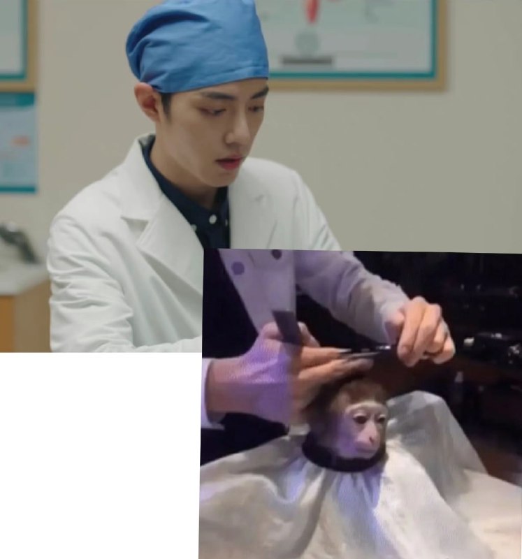 #肖战