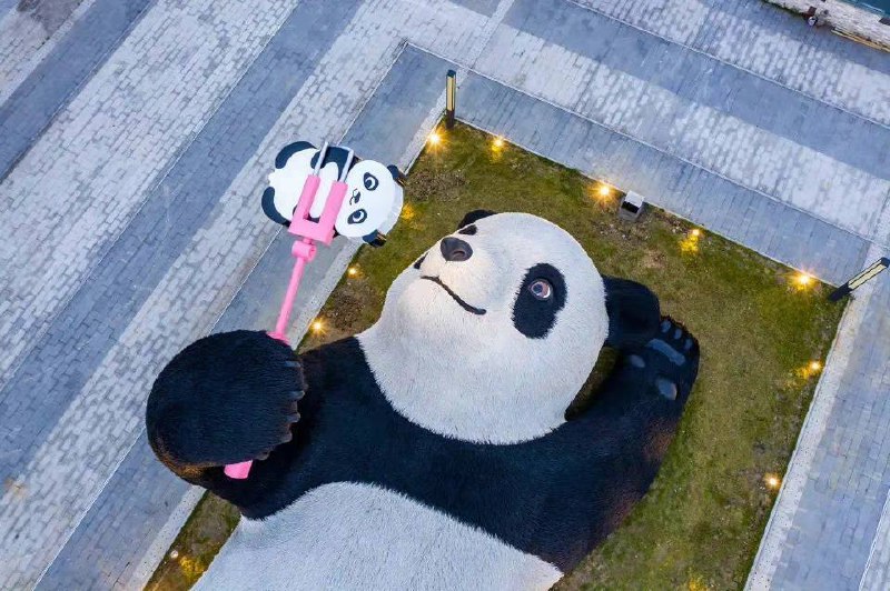 自拍熊猫🐼自拍熊猫🐼