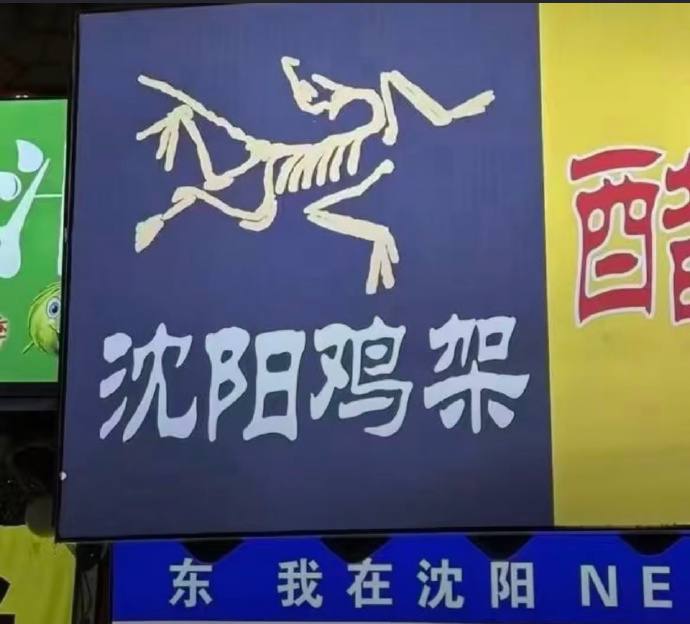 始祖鸟是吧……