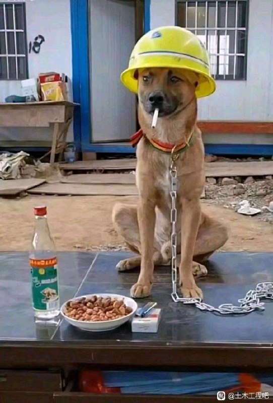 土木狗