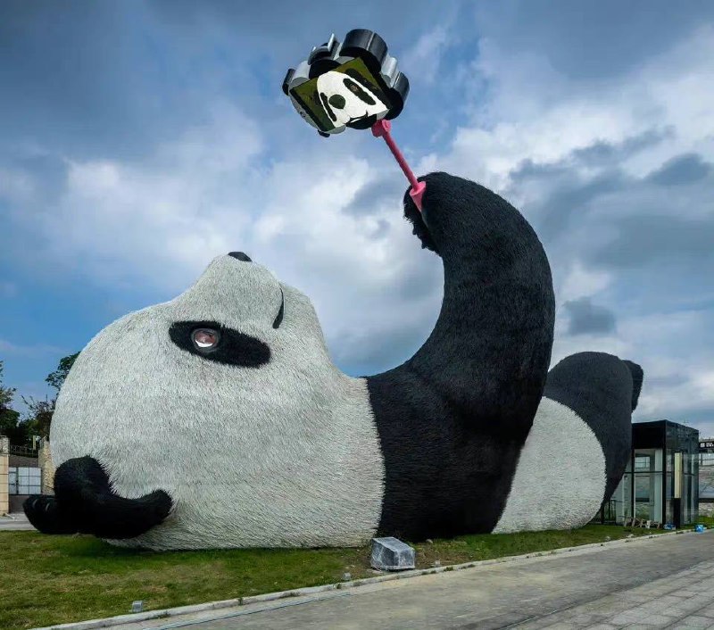 自拍熊猫🐼自拍熊猫🐼