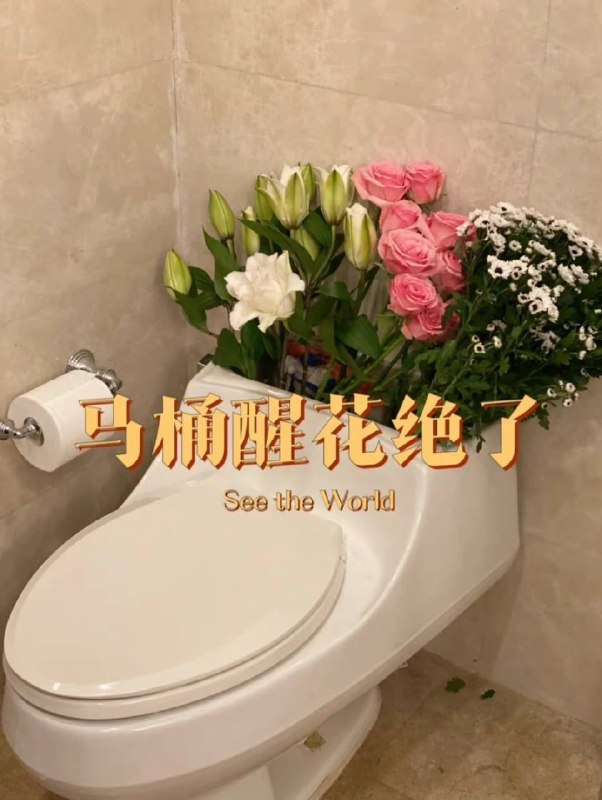 妙啊🚽妙啊🚽