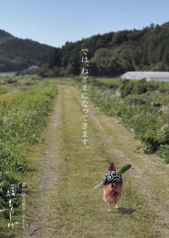 经典回顾经典回顾