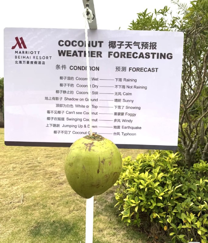 椰子天气预报🤔