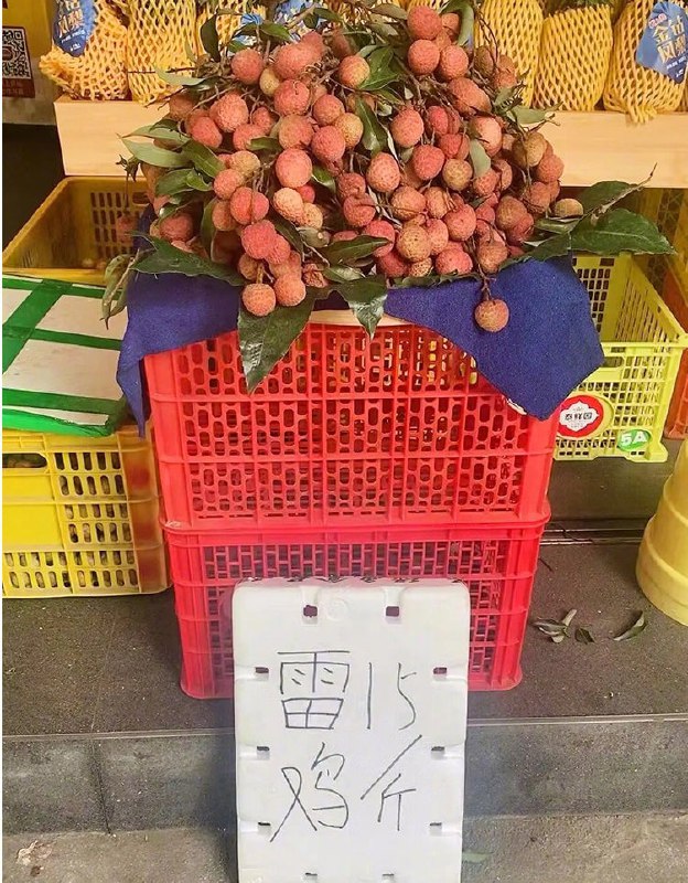 广东梗