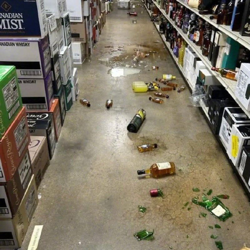 黑五夜“疯狂动物城”