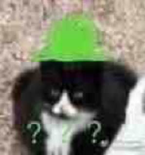 橘猫能有什么坏心思呢……橘猫能有什么坏心思呢……