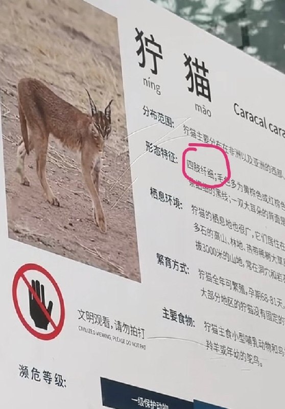 这不是小猪么🙃这不是小猪么🙃