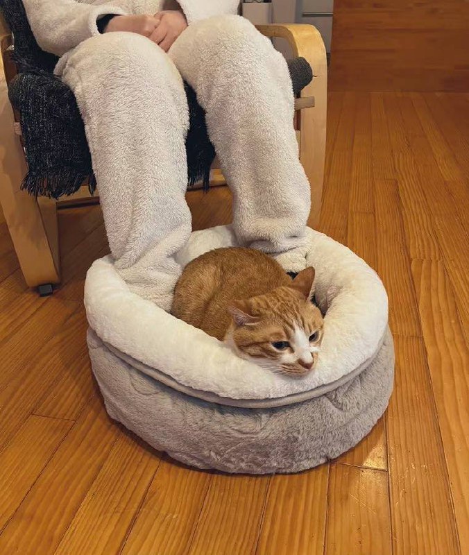 #猫猫 暖脚器