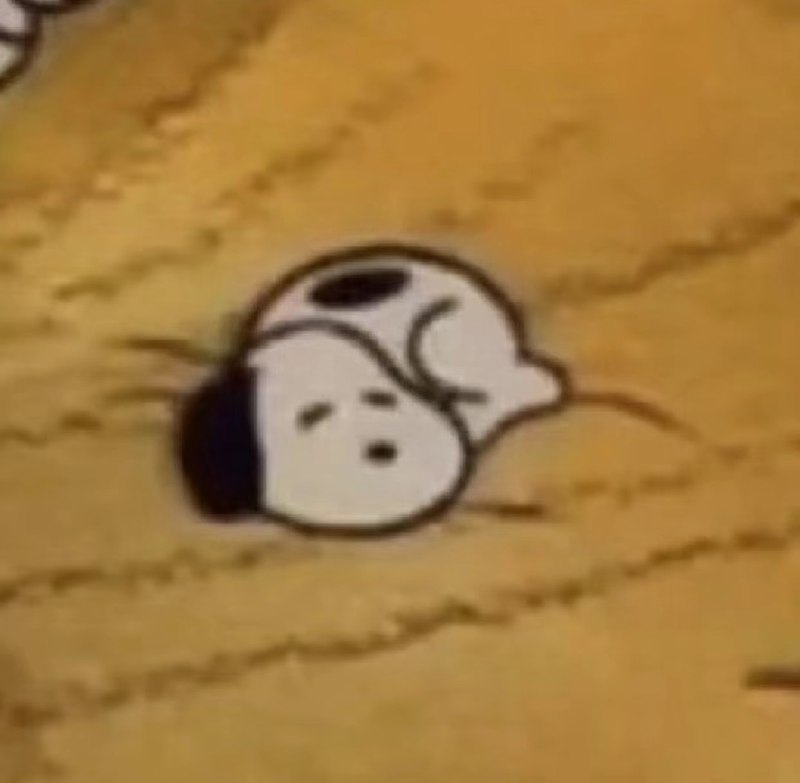 #狗狗#狗狗