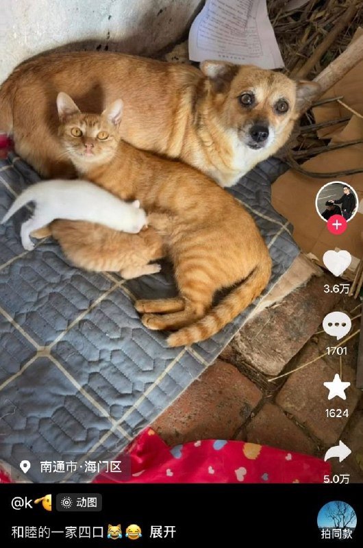 ？？？这对吗？？？？这对吗？