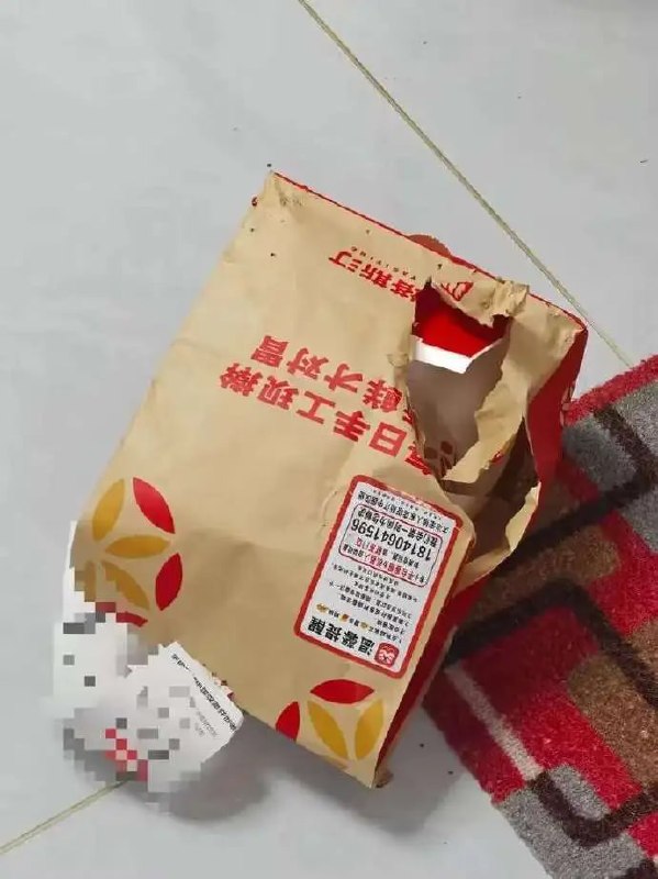 …………