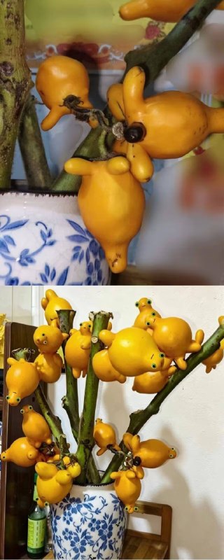 什么奶龙果😮什么奶龙果😮