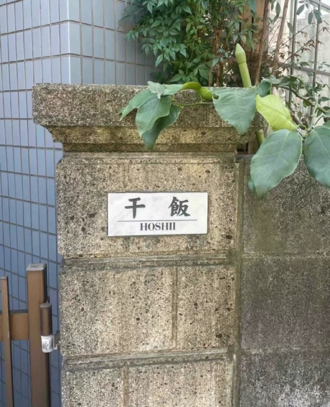 奇奇怪怪的日本名字🤔奇奇怪怪的日本名字🤔