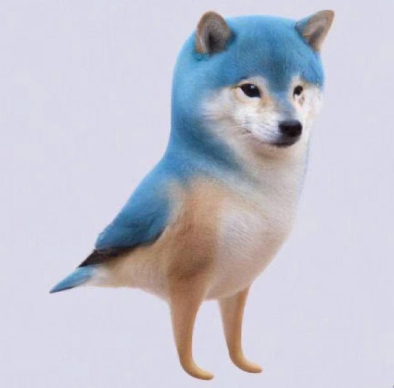 #马斯克将推特图标换成柴犬4月4日，马斯克旗下的社交平台推特突然将自己沿用多年的“蓝鸟”Logo改成了“柴犬”Logo