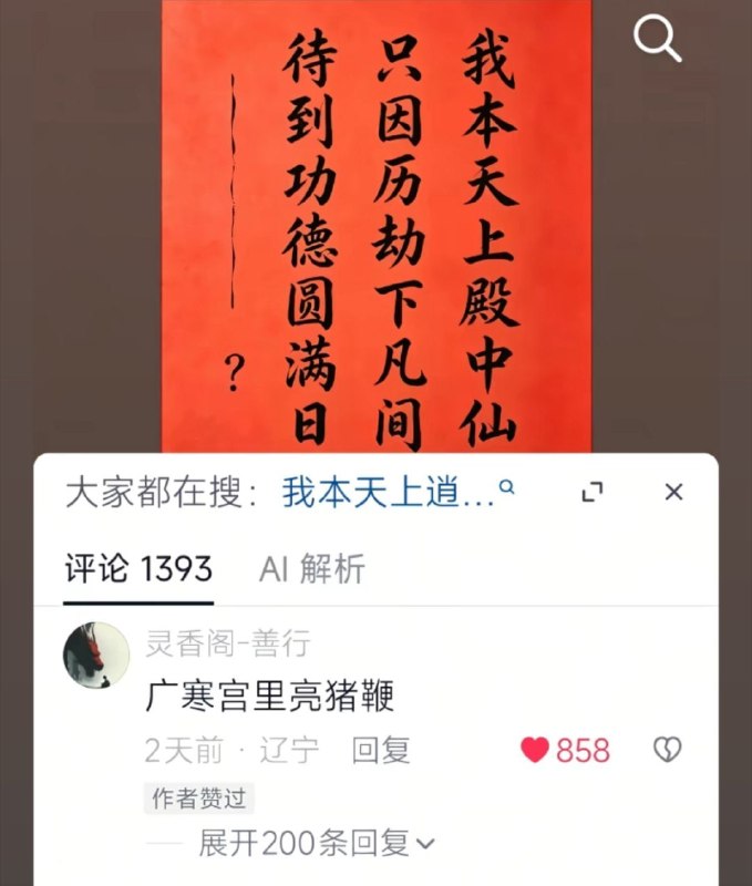 好文采👍🏻