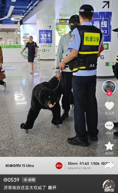 这个黑豹怎么穿轮滑鞋上街了？🤔看评论才知道这是个行李箱……😅