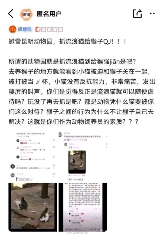 #投稿 by DICE- Official 𝕏#投稿 by DICE- Official 𝕏