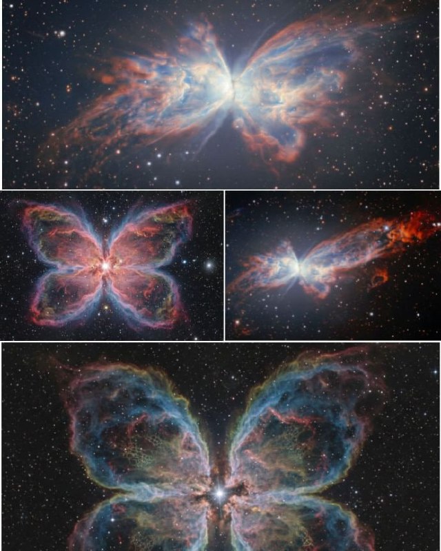 最近，智利双子座南望远镜最近拍摄到的蝴蝶星云（NGC 6302）的壮观新图像，该星云位于天蝎座，距离地球约2,500至3,800光年