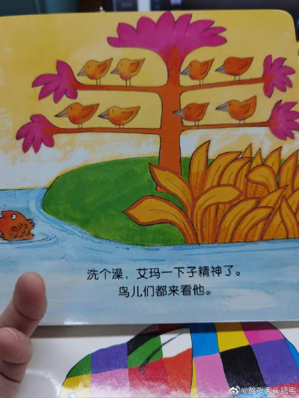 艾玛，东北话一下子就学会了艾玛，东北话一下子就学会了