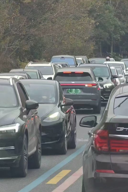 刻板印象加深……🌚