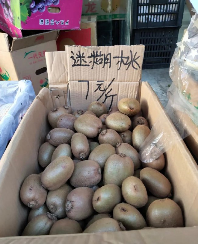 #近期网络梗图筛选#近期网络梗图筛选