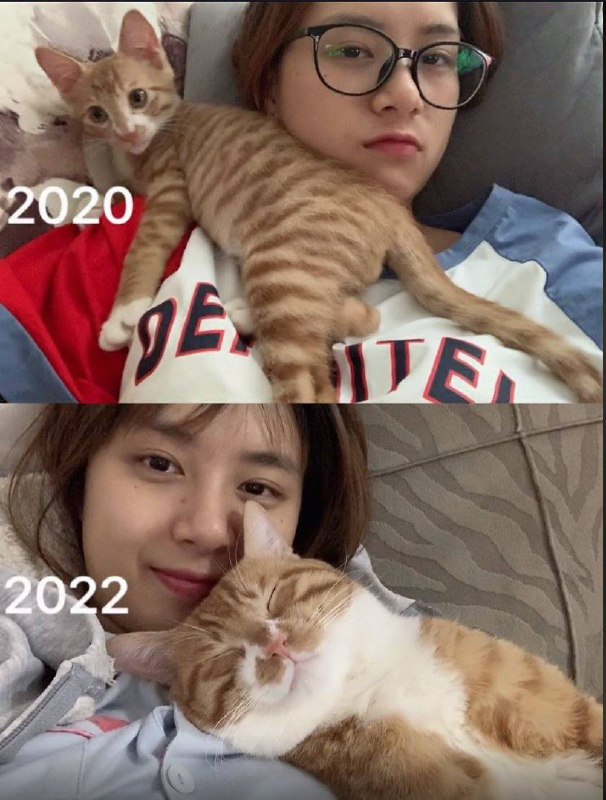 #猫猫