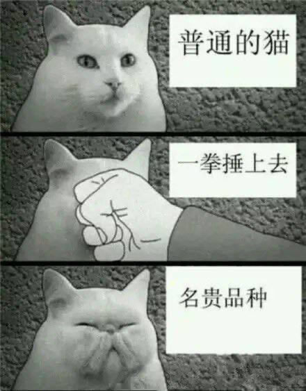 😅