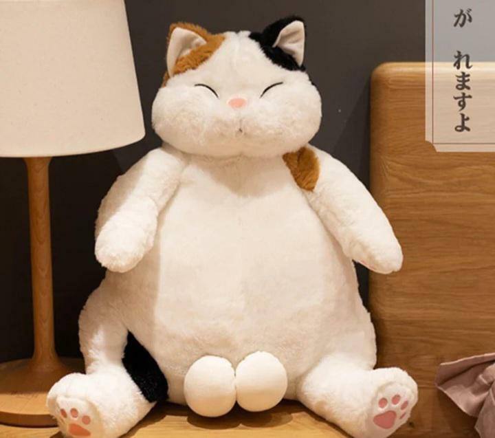 #猫猫