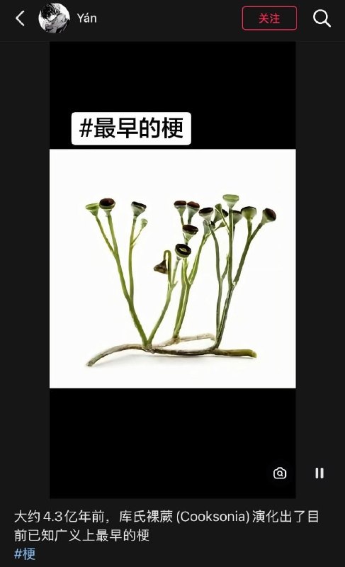 好老的梗