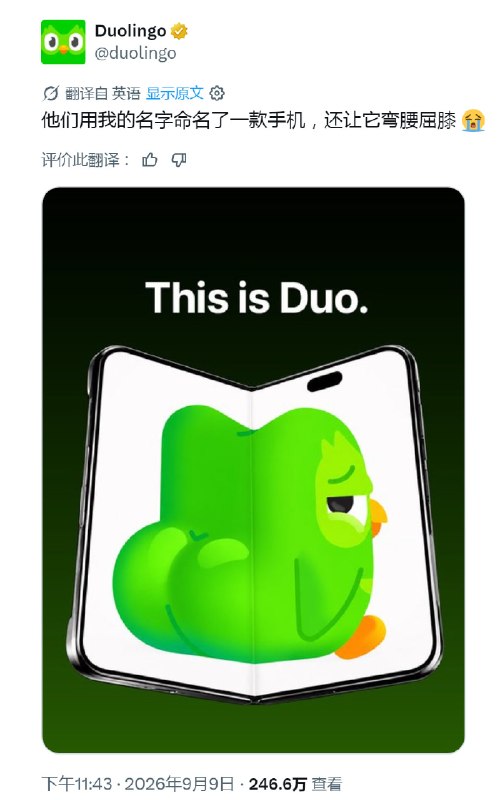 又让这只鸟蹭到了