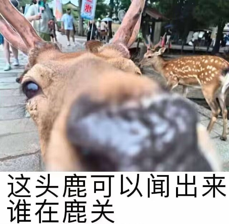 这倒是提醒……