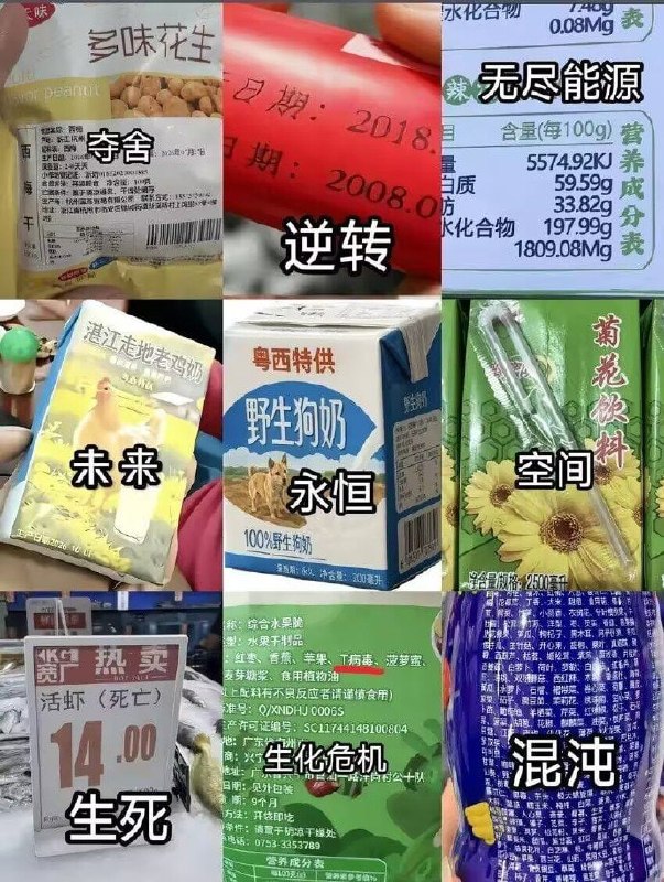 请选择你的阵营