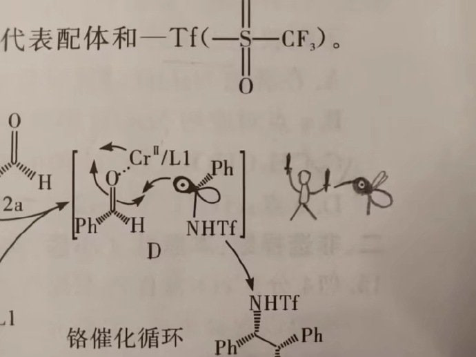 什么键，人类大战蚊子？🤔