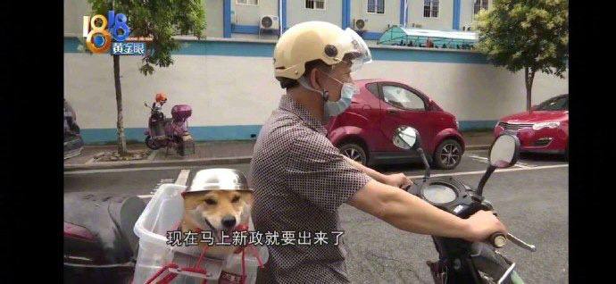 安全第一安全第一