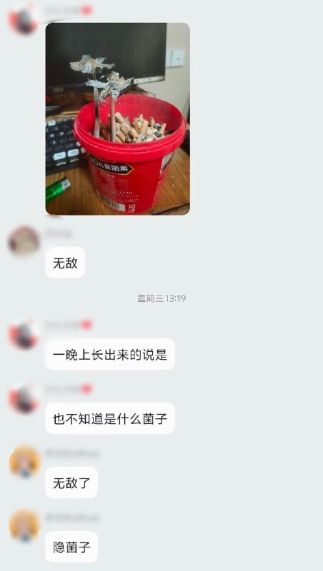 尼古苗苗？🙃尼古苗苗？🙃