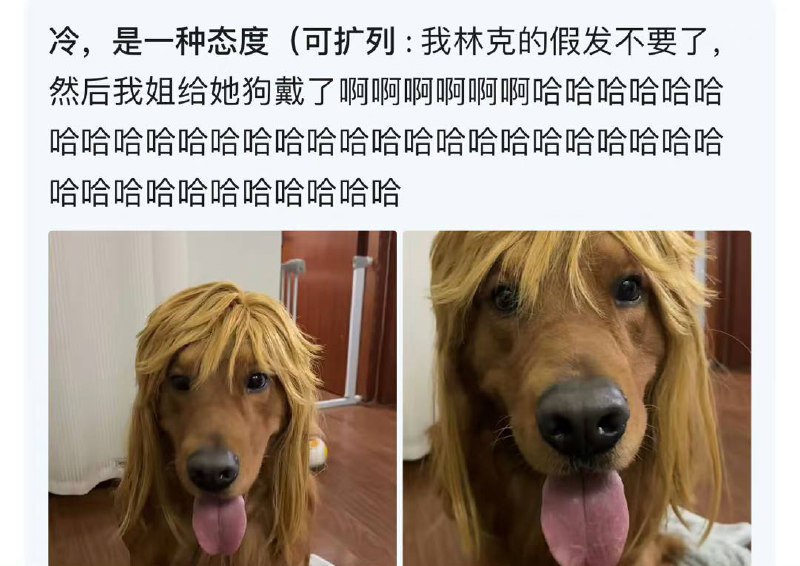 #狗狗#狗狗