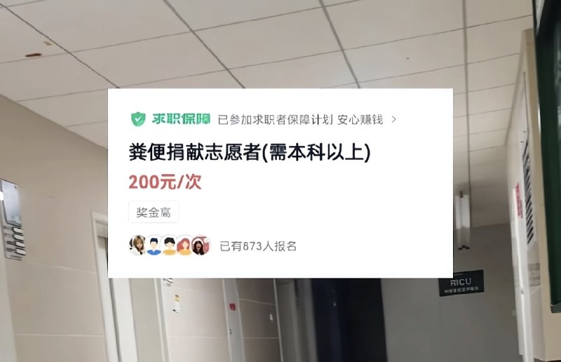 学历无用论可以到此为止了🌚