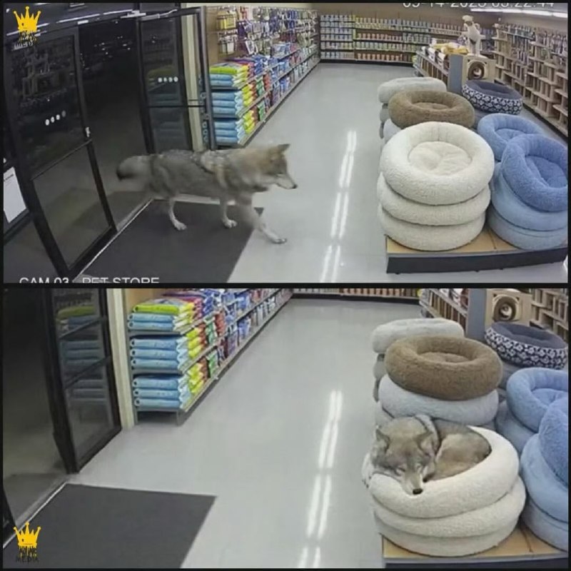 😑
