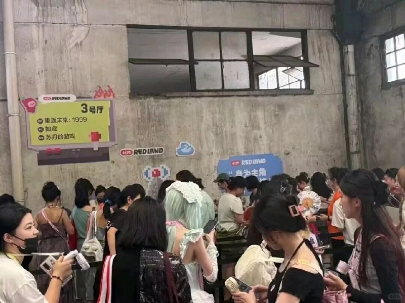 小红书组织的第一届漫展……小红书组织的第一届漫展……