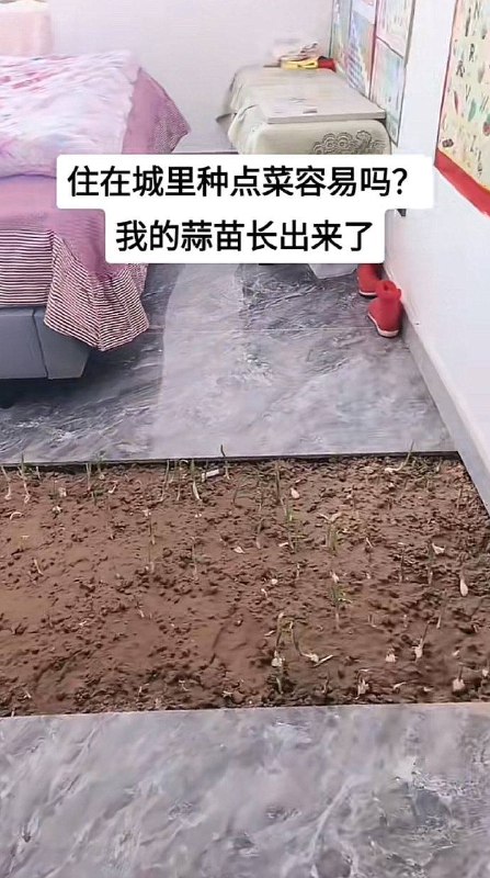 🤔️🤔️